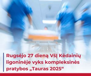schema: pratybų „Tauras 2025“ dalyvių sąveikos planas