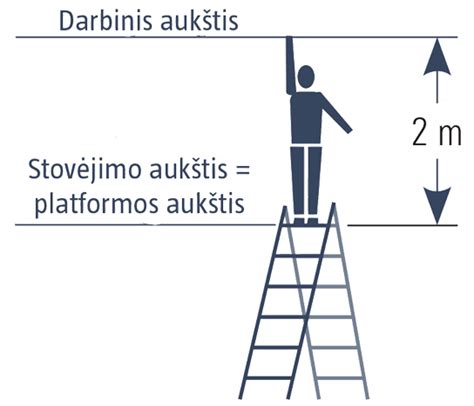 Šlapios ir sausos dvigubos sankabos palyginimo schema