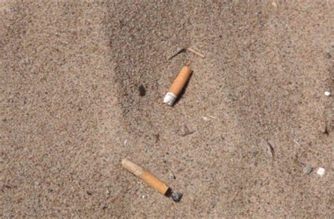Cigarečių nuorūkų sudėtis ir irimo procesas aplinkoje