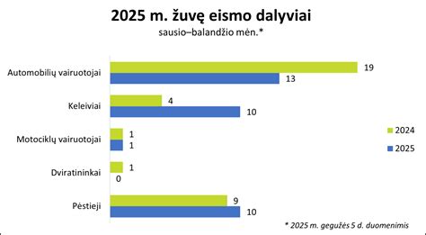 infografika: pagrindinės eismo įvykių priežastys (greitis, dėmesio atitraukimas, techninė būklė)