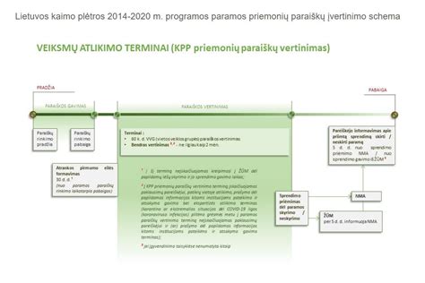 schema, rodanti baudų administravimo procesą nuo pažeidimo fiksavimo iki apmokėjimo.
