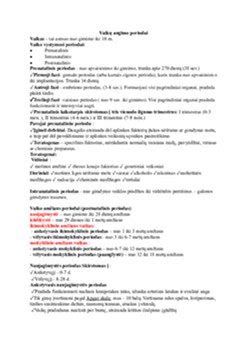schema: braškių augimo ciklai ir optimalios priežiūros priemonės