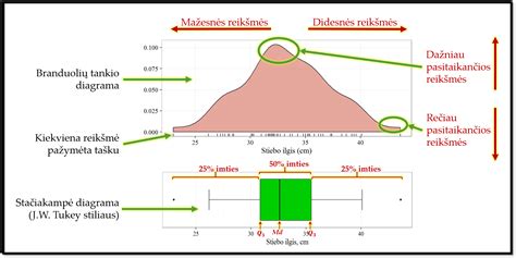 Schematinis skirtingų dviračių vožtuvų tipų palyginimas