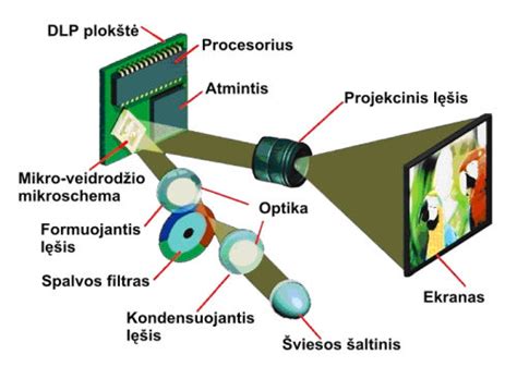 Infografika: RFID lustų veikimo principas