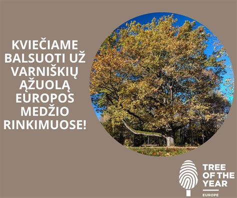 Europos medžio konkurso apdovanojimų ceremonija