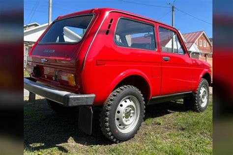 Niva automobilis važiuojantis bekele su pavaizduotais amortizatoriais