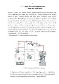 Schematiškas parkavimo sistemos veikimo principas