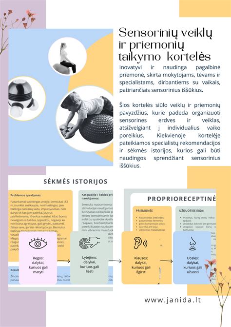 Infografika, iliustruojanti skirtingų atsakomybės rūšių taikymo atvejus ir sankcijas.