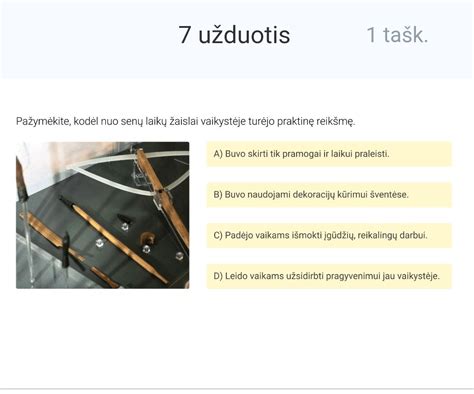 Kategorijų iliustracija: įvairūs vibratoriai ir moterims skirti žaislai