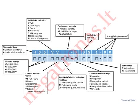 schema: vibracijos šaltinių klasifikacija pagal simptomus (vairas, pedalai, kėbulas)