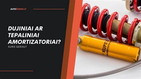 amortizatorių tipų palyginimas: dujiniai vs alyviniai amortizatoriai