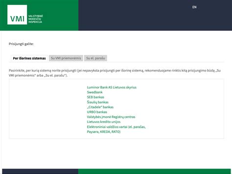 VMI e.paslaugų portalo prisijungimo lango pavyzdys
