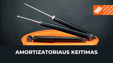 Schema: pažeistas amortizatorius su suplyšusia apsauga