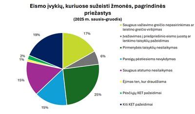 Infografika: pagrindinės eismo įvykių priežastys ir pavojingiausios dienos/valandos