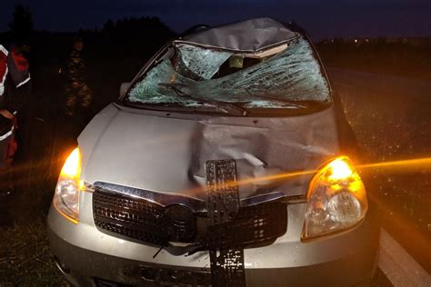 Nuotrauka: sumaitotas automobilis po kaktomušos avarijos
