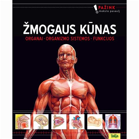 Corpus muziejaus pastato eksterjeras, vaizduojantis žmogaus kūną