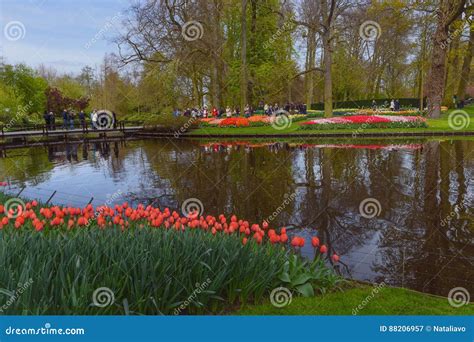 Keukenhof gėlių sodo panorama