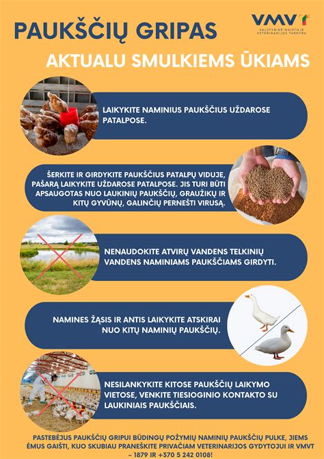 Infografika apie biologinio saugumo priemones kiaulių ūkiuose