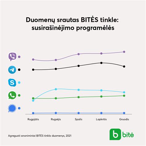 Infografika: slapukų veikimo principai ir duomenų srautas