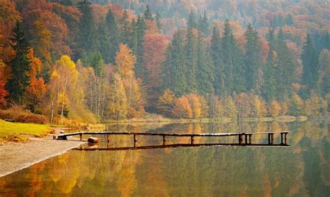 Rudens peizažas su žibintais