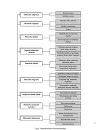 Schema: Islandijos mokesčių sistema ir tarifai