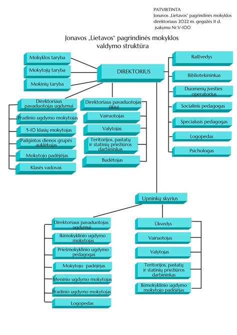 Infografika: Vairuotojo CV struktūros schema (kontaktinė informacija, profilis, darbo patirtis, įgūdžiai)