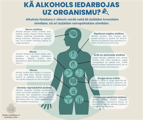 infografika, iliustruojanti alkoholio poveikį vairuotojo reakcijai ir koordinacijai