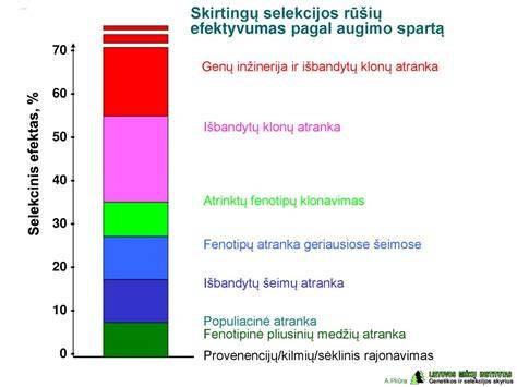 Infografika apie skirtingų rūšių dyzeliną ir jo sezoninę klasifikaciją Lietuvoje