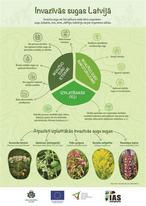 infografikas, rodantis pagrindinius automobilio gedimų požymius