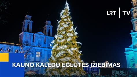 Eglės Valančauskės portretas (teminis foto)