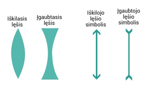 schema, rodanti žibinto sandarą: lempa, reflektorius, lęšis ir stiklas