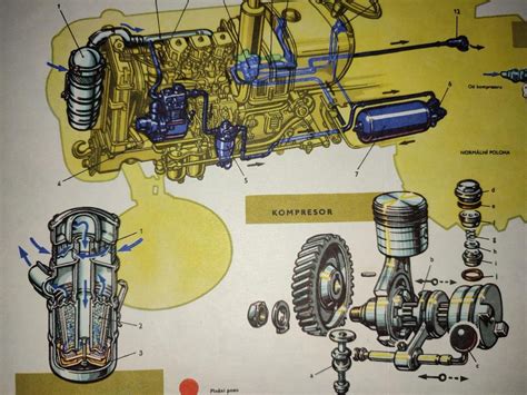 Autobuso vairuotojo uniformos komponentų schema