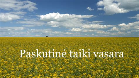 Teminė nuotrauka apie nusikalstamą pasaulį