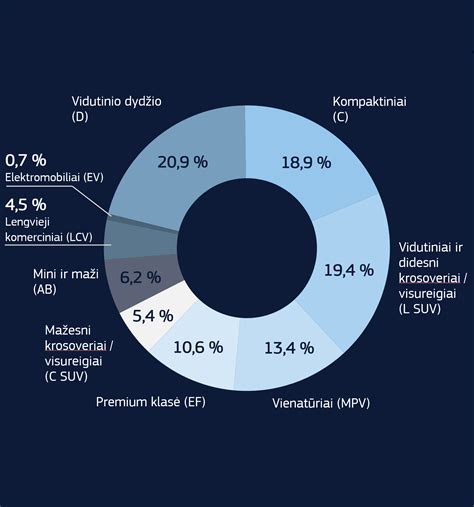 infografikas: reikalingi dokumentai techninei apžiūrai