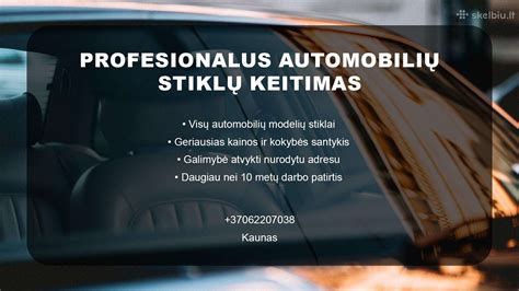 Infografika: Automobilių stiklų pažeidimų dažnumas pagal draudimo įvykius