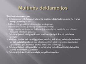 Muitinės deklaracijos pildymo pavyzdys