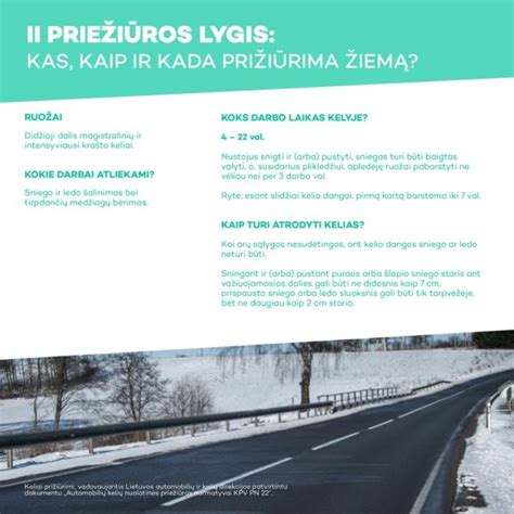 Infografika: kelių priežiūros lygiai ir atlikimo laikas
