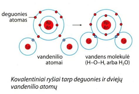 schema: vandenilio kuro elemento veikimo principas, rodantis vandenilio oksidaciją anode ir deguonies redukciją katode