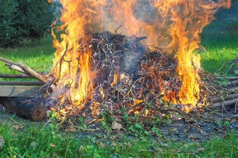 Tematinė nuotrauka: padangų ir kitų atliekų deginimas lauke