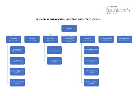 schema, vaizduojanti politinės organizacijos narių priėmimo ir duomenų sutikrinimo procesą