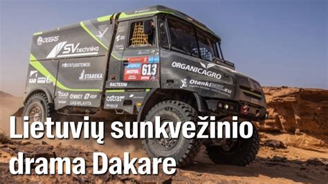 Sunkvežimio lizingo galimybių infografika su skirtingais tipais ir privalumais