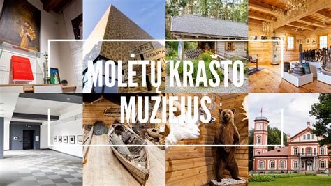 Molėtų rajono automobiliai infografikos schemos