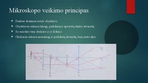 Scheminis slapukų veikimo principas