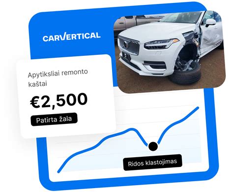 Infografika: Funkcijos programėlėje carOne