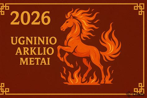 Scheminis vaizdas, iliustruojantis pagrindinius reikalavimus automobiliui, skirtam Bolt veiklai (metai, durų skaičius, būklė)