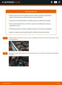 Vairo kolonėlės guolio schema ir išdėstymas automobilyje