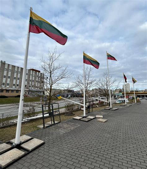 nuotrauka su Ukrainos ir Lietuvos vėliavomis