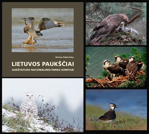 kolekcija ikonų, vaizduojančių gyvūnus, paukščius ir augalus, dažnai minimus palyginimuose
