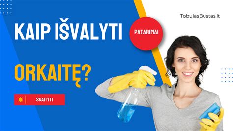 schema: molio naudojimo procesas automobilio dažams valyti