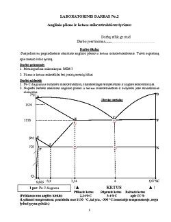 Infografika, lyginanti kaltinio plieno ir ketaus alkūninių velenų patvarumą